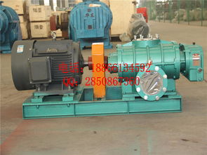 增氧羅茨風機在養(yǎng)殖業(yè)的應用與過濾器的重要性