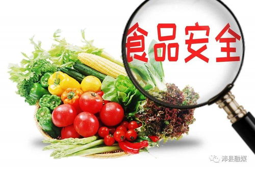 沛縣餐飲經營主體表彰名單公布，35家獲省級點贊